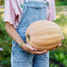 Person in denim overalls holding a large, tan-skinned Dickinson pumpkin in a garden.