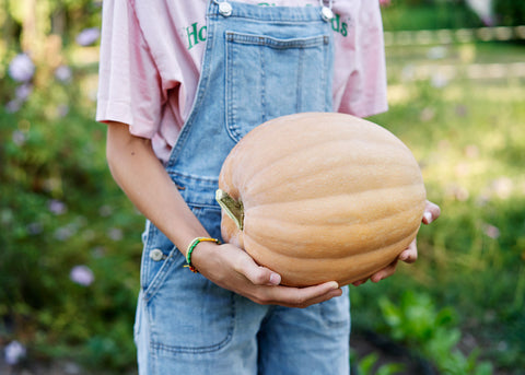 Pumpkin_Dickinson_Seeds_Bucktown Seed Company_01