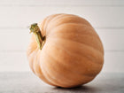 A single Dickinson pumpkin with tan skin and a green stem against a white wooden background.