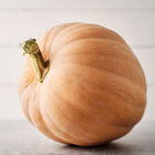 A single Dickinson pumpkin with tan skin and a green stem against a white wooden background.