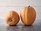 Two tan Dickinson pumpkins with elongated shapes sitting on a grey surface against a white wooden background.