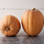 Two tan Dickinson pumpkins with elongated shapes sitting on a grey surface against a white wooden background.