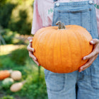 Person in denim overalls holding a round, orange Jack O'Lantern pumpkin in a garden.