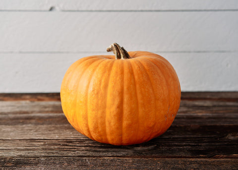 Pumpkin_Jack O Lantern_Seeds_Bucktown Seed Company_02