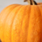 Close-up of a bright orange Jack O'Lantern pumpkin with distinct ribbing and a textured skin.