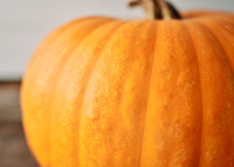 Pumpkin_Jack O Lantern_Seeds_Bucktown Seed Company_03