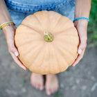 Hands holding a flattened, buff-colored Long Island Cheese pumpkin in a garden.