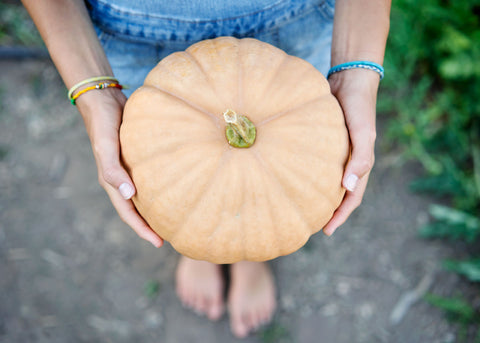 Pumpkin_Long Island Cheese_Seeds_Bucktown Seed Company_02
