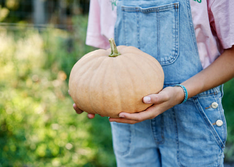 Pumpkin_Long Island Cheese_Seeds_Bucktown Seed Company_03