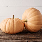 Two flattened, buff-colored Long Island Cheese pumpkins on a rustic wooden surface against a white shiplap wall.