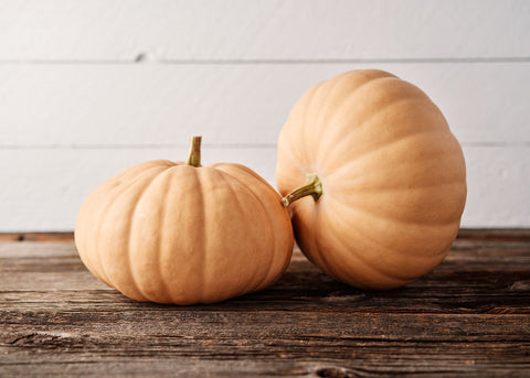 Pumpkin_Long Island Cheese_Seeds_Bucktown Seed Company_01