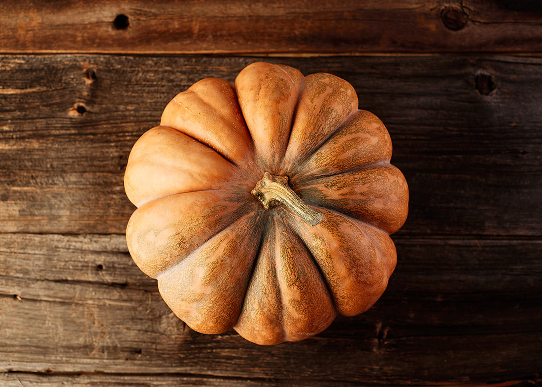 Heirloom Seeds - Pumpkin Musquee De Provence - Bucktown Seed Company-02