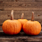 Three round, orange Small Sugar Pie pumpkins with woody stems arranged on a rustic dark wooden surface.