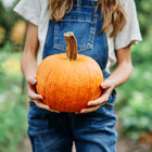 Person in denim overalls holding a round, orange Small Sugar Pie pumpkin in a garden.
