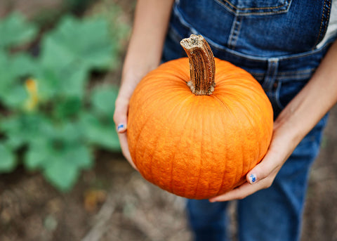 Small Sugar Pie - Pumpkin Seeds - Organic