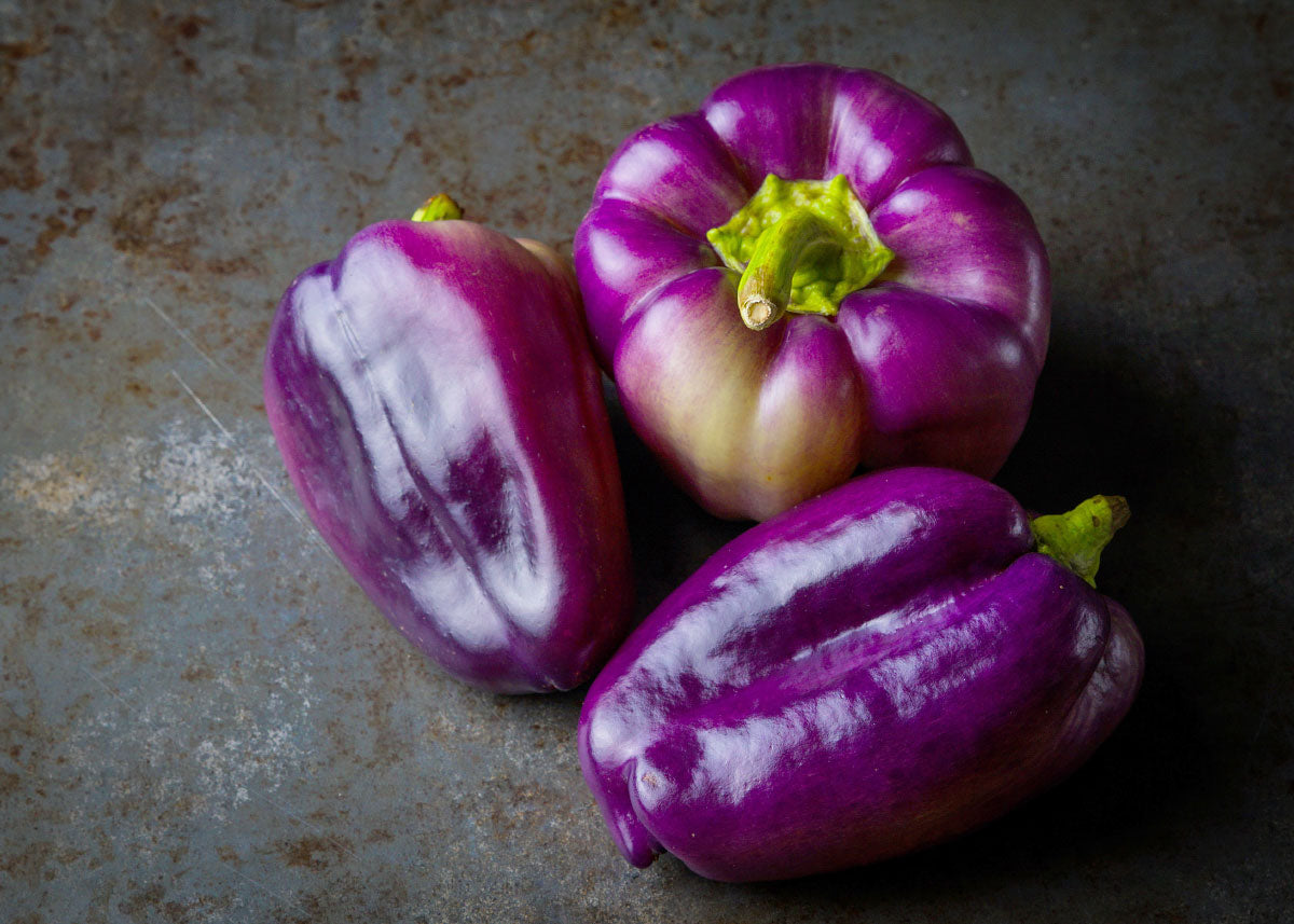 Purple Beauty - Sweet Pepper Seeds