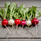 A row of colorful Easter Egg radishes in red, white, and purple shades with green tops on a rustic gray wooden surface.
