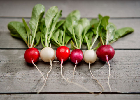 Heirloom Seeds_Radish Easter Egg_Bucktown Seed Company-04