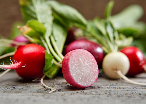 Heirloom Seeds_Radish Easter Egg_Bucktown Seed Company-05