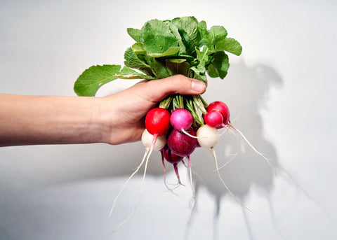 Heirloom Seeds_Radish Easter Egg_Bucktown Seed Company-01