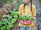 Young girl in a yellow shirt holding a woven basket filled with freshly harvested French Breakfast radishes.