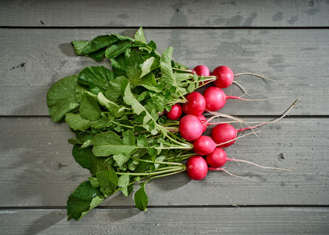 Heirloom Seeds_Radish Pink Beauty_Bucktown Seed Company-01
