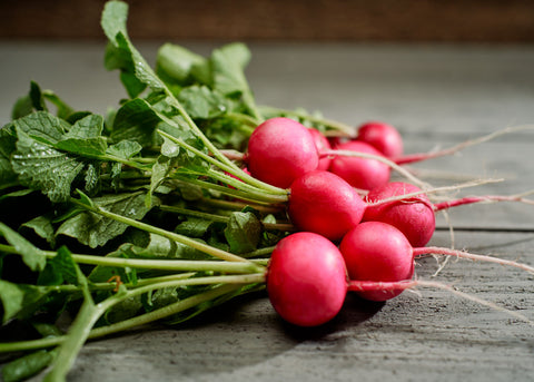 Heirloom Seeds_Radish Pink Beauty_Bucktown Seed Company-03