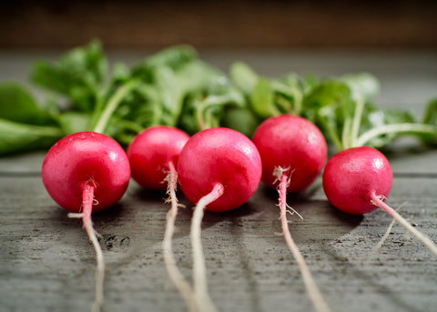 Heirloom Seeds_Radish Pink Beauty_Bucktown Seed Company-02