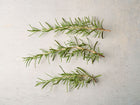 Three fresh green sprigs of Rosemary herb laid horizontally on a light gray textured surface.