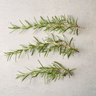 Three fresh green sprigs of Rosemary herb laid horizontally on a light gray textured surface.