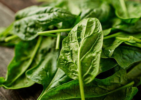 Heirloom Seeds_Spinach Bloomsdale_Bucktown Seed Company-04