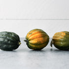 Three Table Queen acorn squash with dark green and orange-streaked ribbed skin on a grey surface.