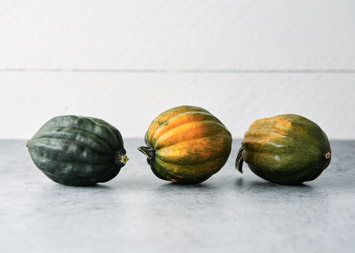 Squash_Acorn_Table-Queen_Seeds_Bucktown Seed Company_03