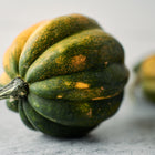 Dark green, ribbed Table Queen acorn squash with golden patches resting on a grey surface.