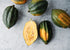 Squash_Acorn_Table-Queen_Seeds_Bucktown Seed Company_01
