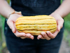 Hands holding a small, oblong Delicata winter squash with cream skin and green stripes.