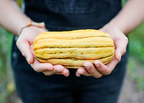 Squash_Delicata_Seeds_Bucktown Seed Company_03
