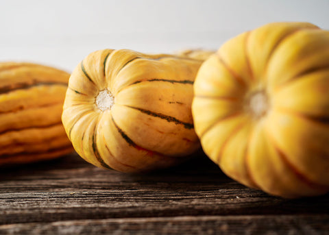 Squash_Delicata_Seeds_Bucktown Seed Company_02
