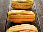 Three oblong Delicata winter squash with cream skin and green stripes arranged on a rustic wooden surface.