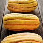 Three oblong Delicata winter squash with cream skin and green stripes arranged on a rustic wooden surface.