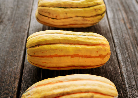 Squash_Delicata_Seeds_Bucktown Seed Company_04