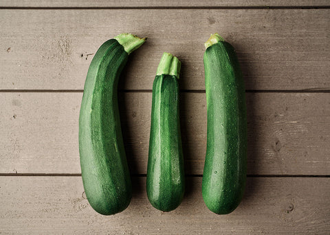 Heirloom Seeds - Black Beauty Zucchini - Squash - Bucktown Seed Company-01