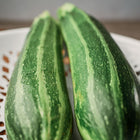 Two Cocozelle zucchini with light and dark green striped skin resting in a white decorative bowl.