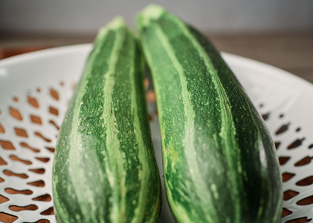 Heirloom Seeds - Cocozelle Zucchini - Squash - Bucktown Seed Company-04