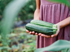 Person holding two freshly harvested, dark green striped Cocozelle zucchini in a garden.