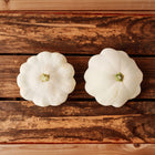 Heirloom Seeds - Early White Bush Scallop Squash - Bucktown Seed Company-01