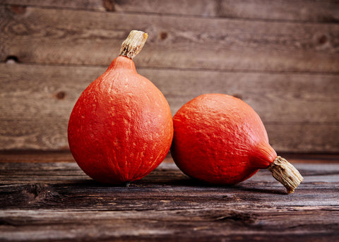 Heirloom Seeds - Red Kuri Squash - Bucktown Seed Company-01