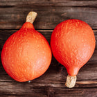 Two vibrant, teardrop-shaped Red Kuri squash with bright orange skin resting on a rustic dark wooden surface.
