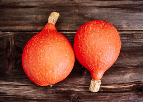 Heirloom Seeds - Red Kuri Squash - Bucktown Seed Company-03