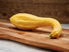Bright yellow Early Golden Crookneck summer squash resting on a wooden cutting board.